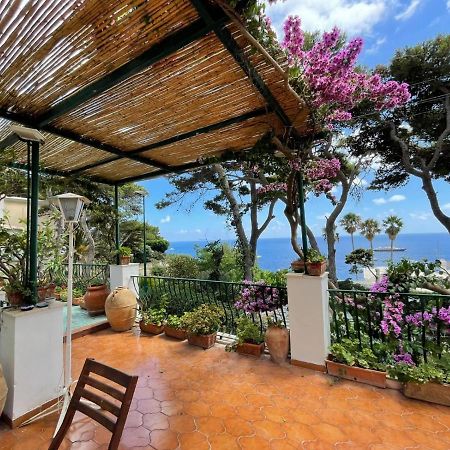 Terrazza Mare Marina Piccola Daire Capri Dış mekan fotoğraf